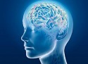 Имплантат для мозга поможет при лечении различных заболеваний