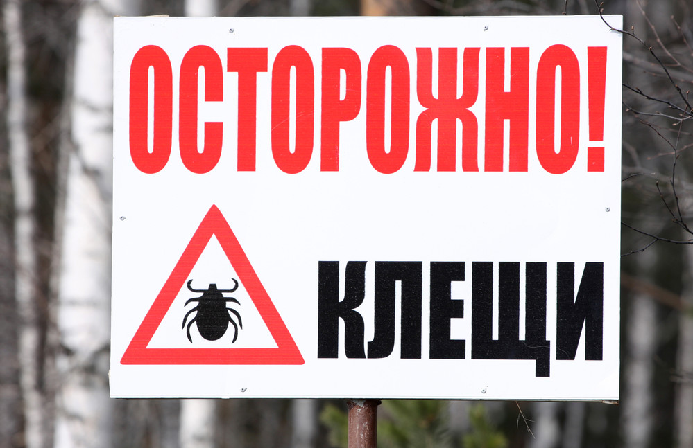 Ученые создали новое средство от клещевого энцефалита